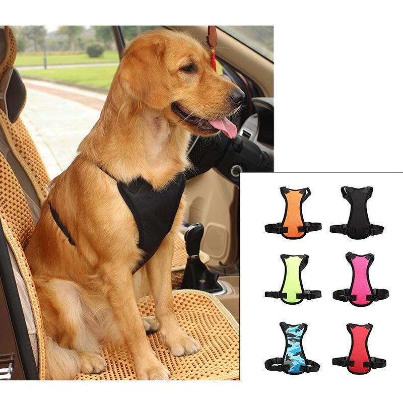 Car seat belts for pets