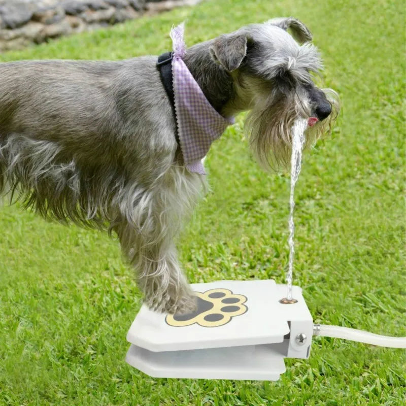 Outdoor Automatic Dog Water Fountain Step