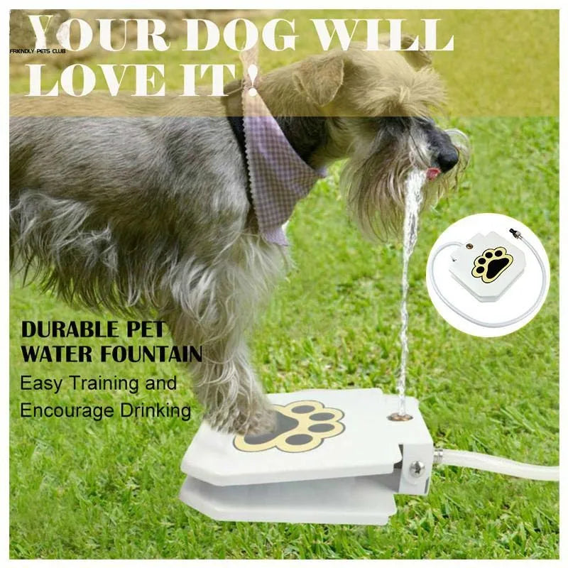 Outdoor Automatic Dog Water Fountain Step