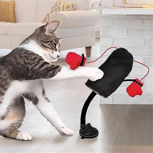 Innovative Cat Toys With Boxing Gloves Interactive Kittens Toys