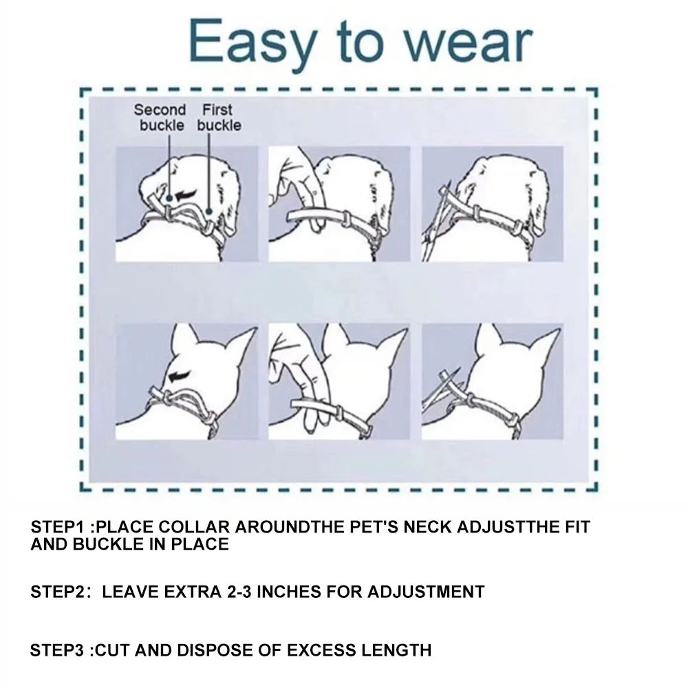 Veterinary Anti Flea and Tick Collar for Cats Dogs Anti-parasitic